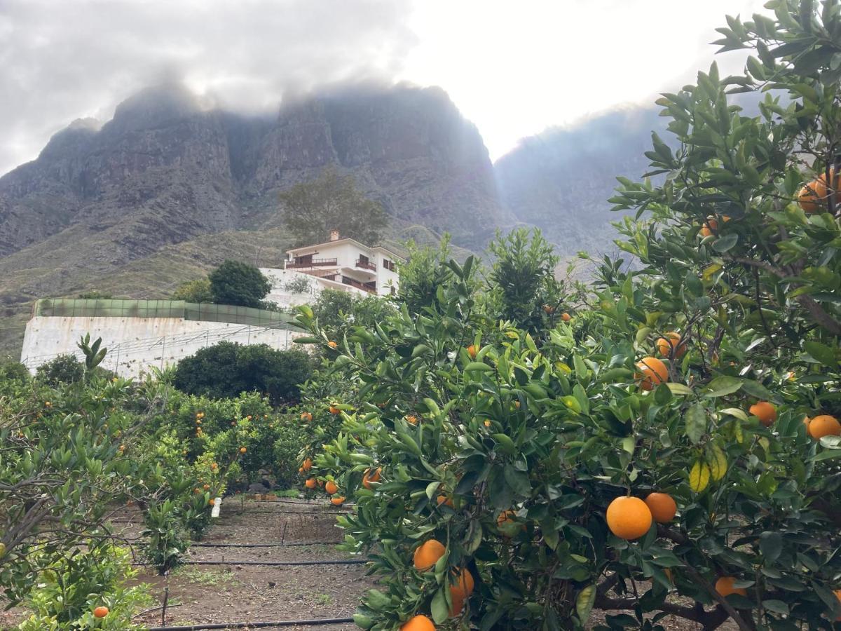 Casa Camino Tamadaba II Leilighet Agaete  Eksteriør bilde