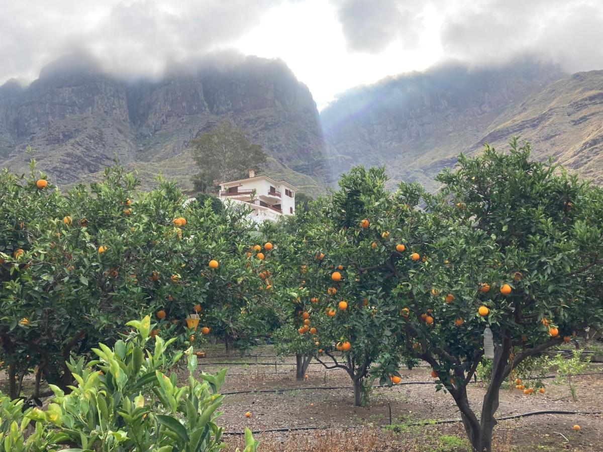 Casa Camino Tamadaba II Leilighet Agaete  Eksteriør bilde