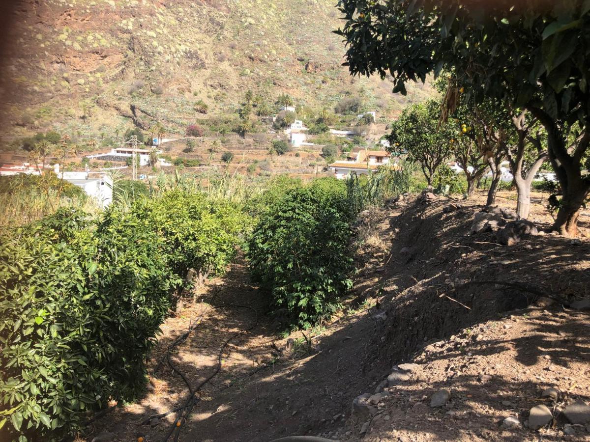 Casa Camino Tamadaba II Leilighet Agaete  Eksteriør bilde
